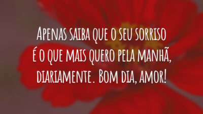 Apenas saiba que o seu sorriso é o que mais quero pela manhã, diariamente. Bom dia, amor!