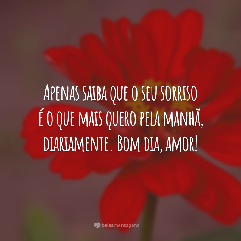 Apenas saiba que o seu sorriso é o que mais quero pela manhã, diariamente. Bom dia, amor!