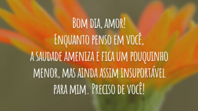Bom dia, amor! Enquanto penso em você, a saudade ameniza e fica um pouquinho menor, mas ainda assim insuportável para mim. Preciso de você!
