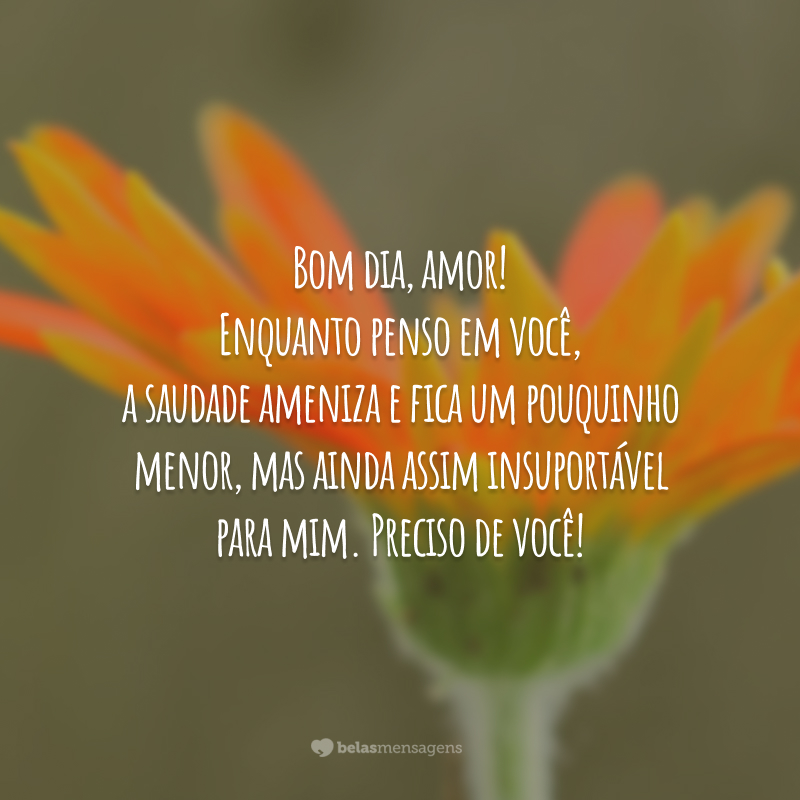 Bom dia, amor! Enquanto penso em você, a saudade ameniza e fica um pouquinho menor, mas ainda assim insuportável para mim. Preciso de você!