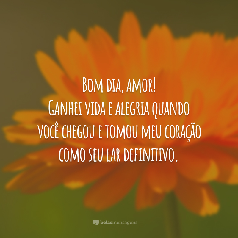 Bom dia, amor! Ganhei vida e alegria quando você chegou e tomou meu coração como seu lar definitivo.