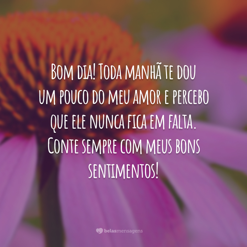 Bom dia! Toda manhã te dou um pouco do meu amor e percebo que ele nunca fica em falta. Conte sempre com meus bons sentimentos!