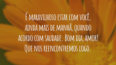 É maravilhoso estar com você, ainda mais de manhã, quando acordo com saudade. Bom dia, amor! Que nos reencontremos logo.