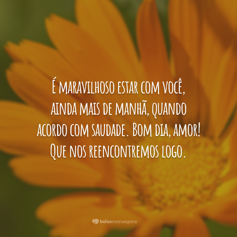 É maravilhoso estar com você, ainda mais de manhã, quando acordo com saudade. Bom dia, amor! Que nos reencontremos logo.