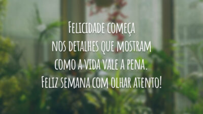 Felicidade começa nos detalhes que mostram como a vida vale a pena. Feliz semana com olhar atento!