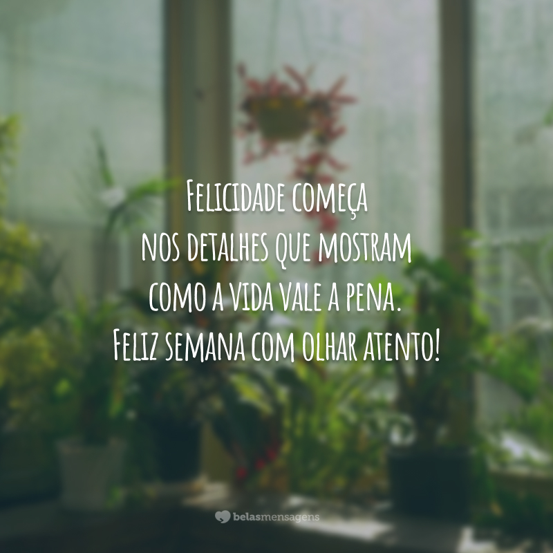 Felicidade começa nos detalhes que mostram como a vida vale a pena. Feliz semana com olhar atento!