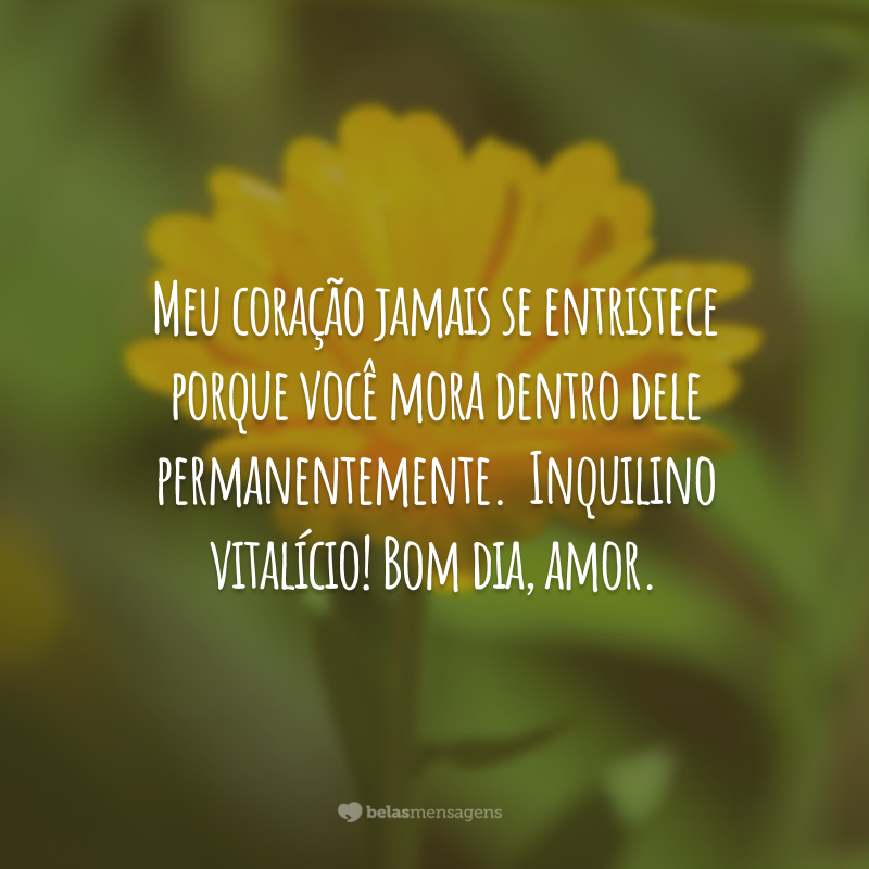 Meu coração jamais se entristece porque você mora dentro dele permanentemente.  Inquilino vitalício! Bom dia, amor.