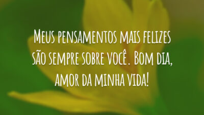 Meus pensamentos mais felizes são sempre sobre você. Bom dia, amor da minha vida!