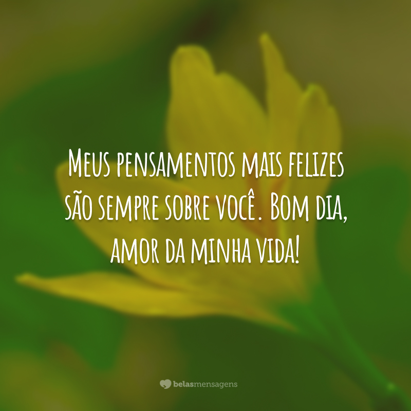 Meus pensamentos mais felizes são sempre sobre você. Bom dia, amor da minha vida!