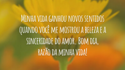 Minha vida ganhou novos sentidos quando você me mostrou a beleza e a sinceridade do amor. Bom dia, razão da minha vida!