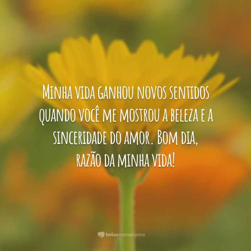 Minha vida ganhou novos sentidos quando você me mostrou a beleza e a sinceridade do amor. Bom dia, razão da minha vida!