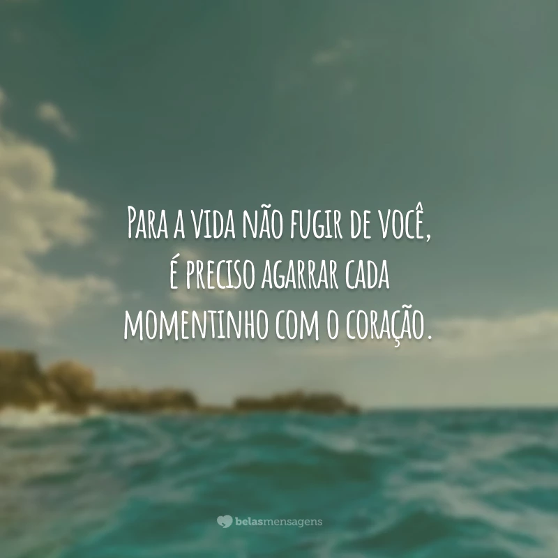 Para a vida não fugir de você, é preciso agarrar cada momentinho com o coração.