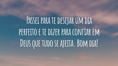 Passei para te desejar um dia perfeito e te dizer para confiar em Deus que tudo se ajeita. Bom dia!