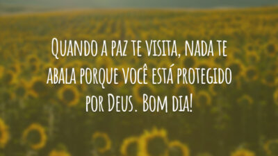 Quando a paz te visita, nada te abala porque você está protegido por Deus. Bom dia!