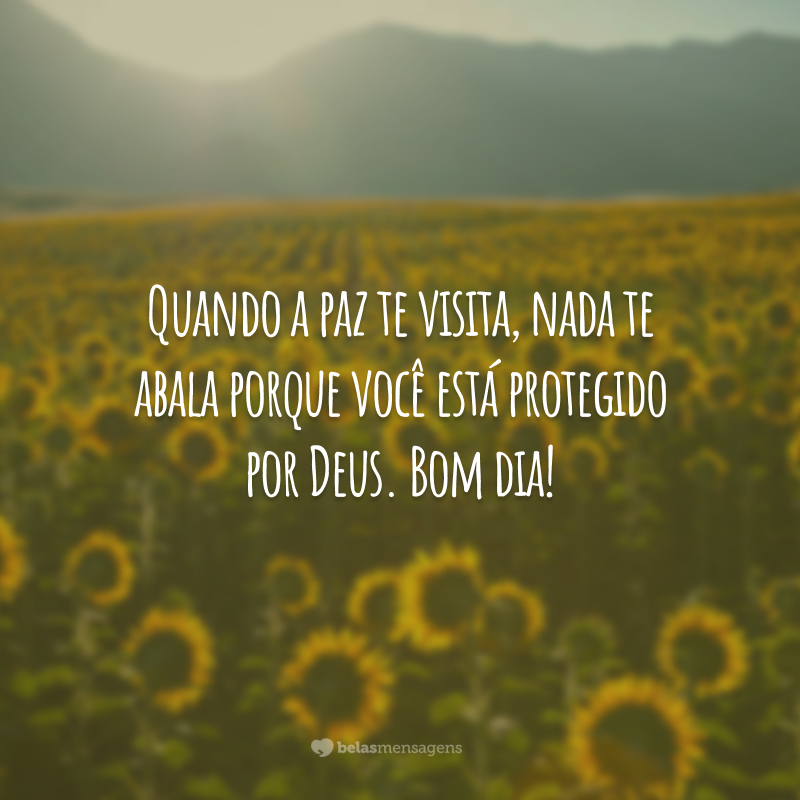 Quando a paz te visita, nada te abala porque você está protegido por Deus. Bom dia!