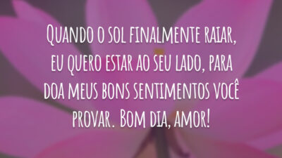 Quando o sol finalmente raiar, eu quero estar ao seu lado, para doa meus bons sentimentos você provar. Bom dia, amor!