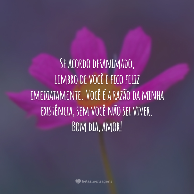 Se acordo desanimado, lembro de você e fico feliz imediatamente. Você é a razão da minha existência, sem você não sei viver. Bom dia, amor!