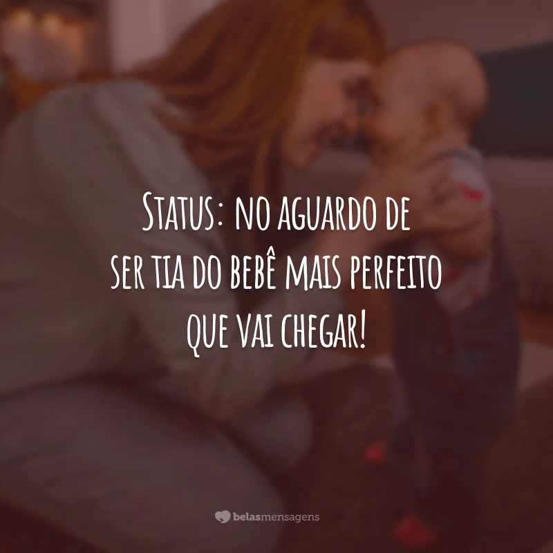 Status: no aguardo de ser tia do bebê mais perfeito que vai chegar!