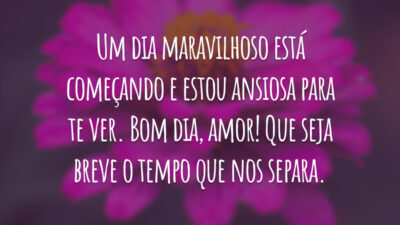 Um dia maravilhoso está começando e estou ansiosa para te ver. Bom dia, amor! Que seja breve o tempo que nos separa.