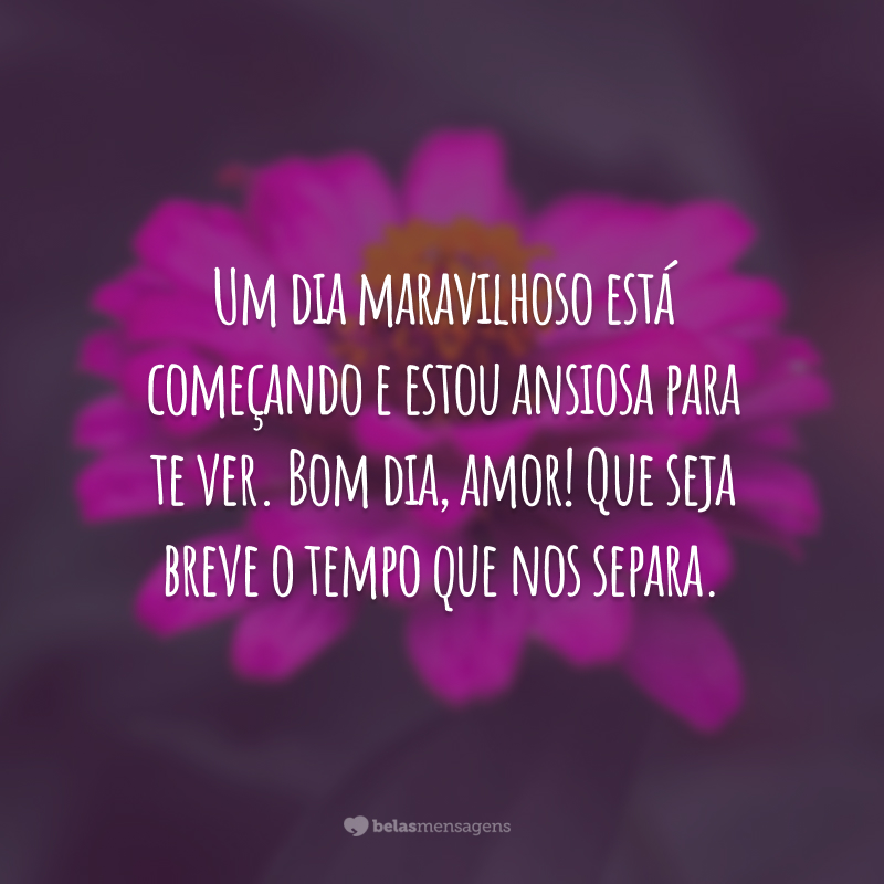 Um dia maravilhoso está começando e estou ansiosa para te ver. Bom dia, amor! Que seja breve o tempo que nos separa.