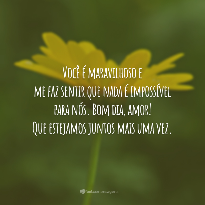 Você é maravilhoso e me faz sentir que nada é impossível para nós. Bom dia, amor! Que estejamos juntos mais uma vez.