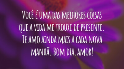 Você é uma das melhores coisas que a vida me trouxe de presente. Te amo ainda mais a cada nova manhã. Bom dia, amor!