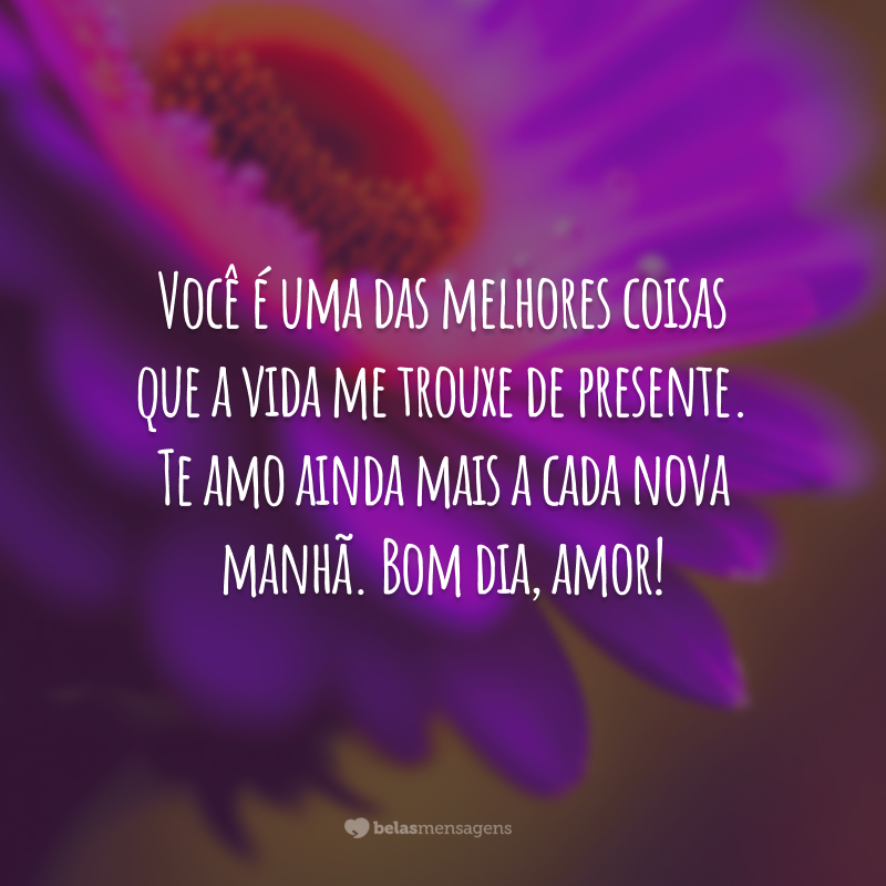 Você é uma das melhores coisas que a vida me trouxe de presente. Te amo ainda mais a cada nova manhã. Bom dia, amor!