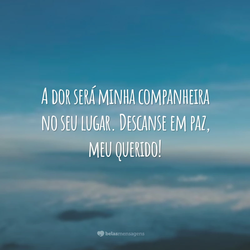 A dor será minha companheira no seu lugar. Descanse em paz, meu querido!