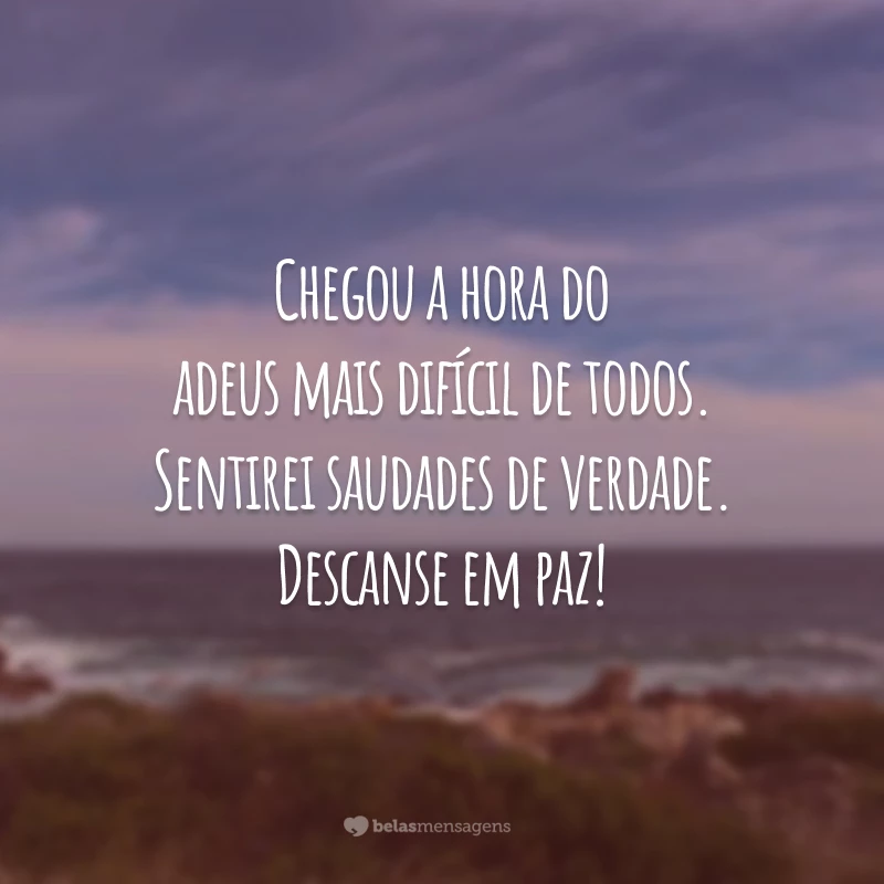 Chegou a hora do adeus mais difícil de todos. Sentirei saudades de verdade. Descanse em paz!