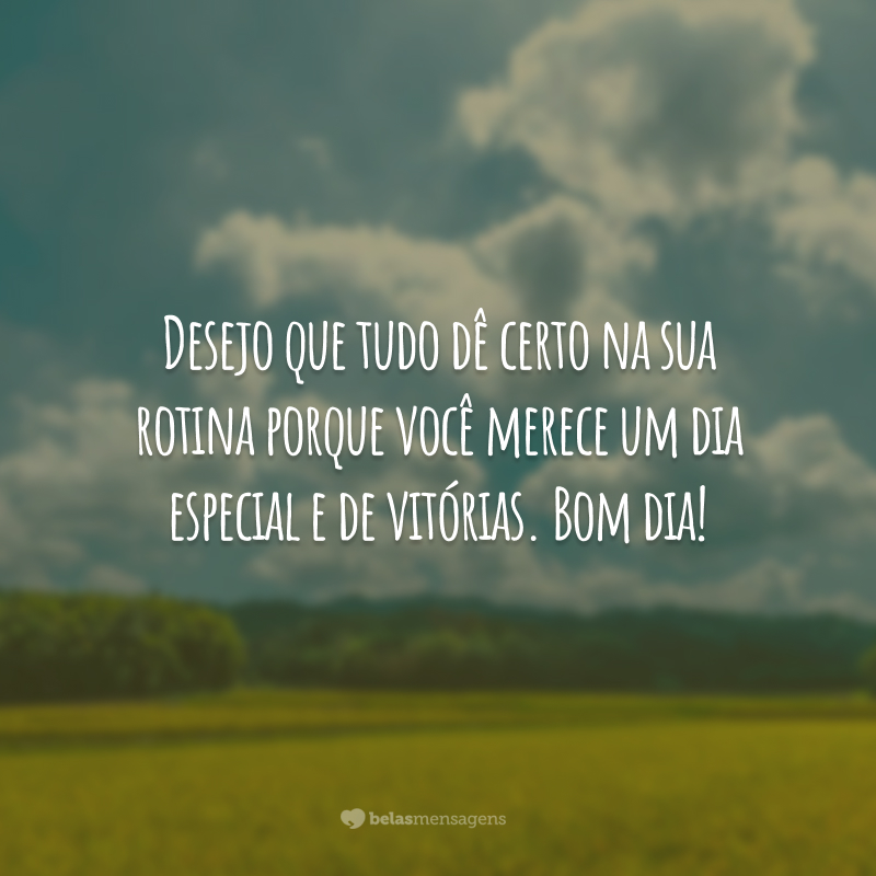 Desejo que tudo dê certo na sua rotina porque você merece um dia especial e de vitórias. Bom dia!