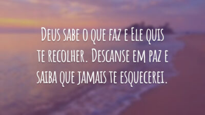 Deus sabe o que faz e Ele quis te recolher. Descanse em paz e saiba que jamais te esquecerei.