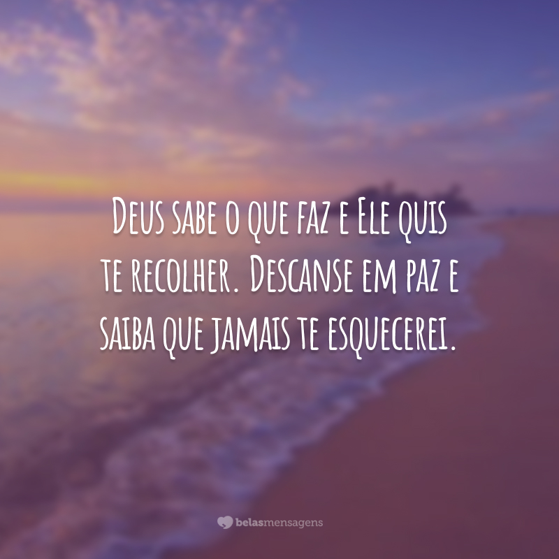 Deus sabe o que faz e Ele quis te recolher. Descanse em paz e saiba que jamais te esquecerei.