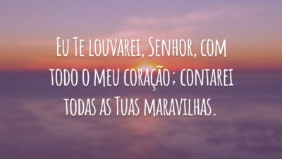 Eu Te louvarei, Senhor, com todo o meu coração; contarei todas as Tuas maravilhas.