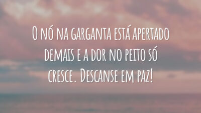 O nó na garganta está apertado demais e a dor no peito só cresce. Descanse em paz!