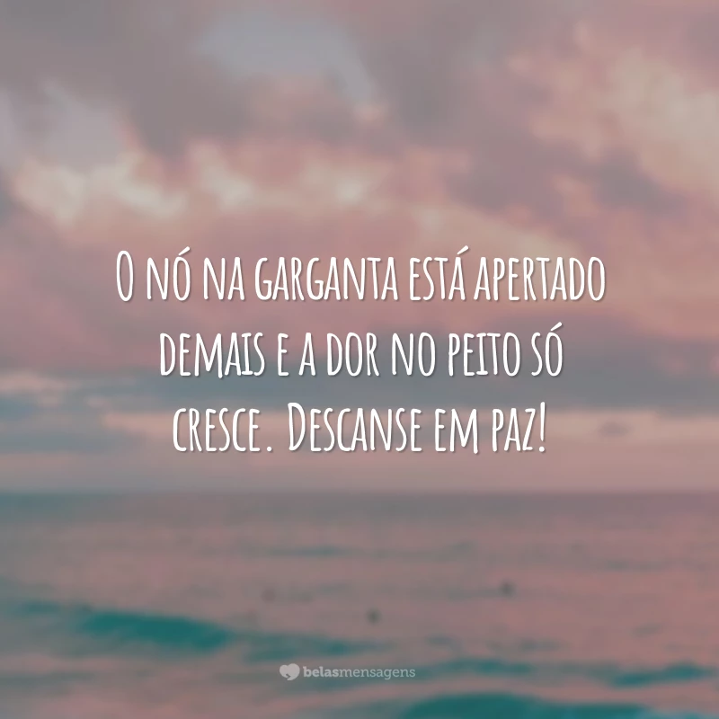 O nó na garganta está apertado demais e a dor no peito só cresce. Descanse em paz!