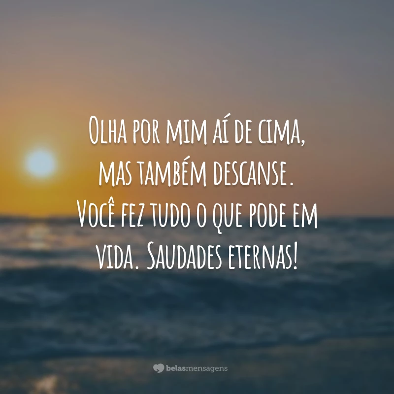 Olha por mim aí de cima, mas também descanse. Você fez tudo o que pode em vida. Saudades eternas!