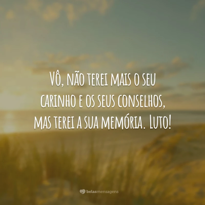 Vô, não terei mais o seu carinho e os seus conselhos, mas terei a sua memória. Luto!