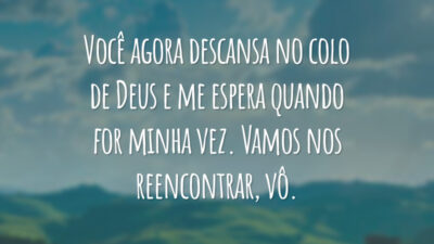 Você agora descansa no colo de Deus e me espera quando for minha vez. Vamos nos reencontrar, vô.