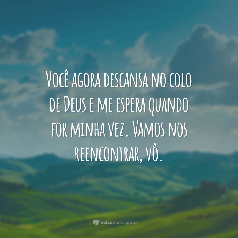 Você agora descansa no colo de Deus e me espera quando for minha vez. Vamos nos reencontrar, vô.