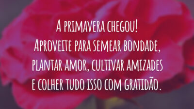 A primavera chegou! Aproveite para semear bondade, plantar amor, cultivar amizades e colher tudo isso com gratidão.