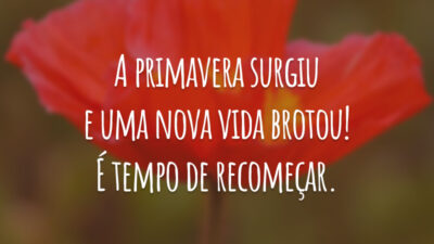 A primavera surgiu e uma nova vida brotou! É tempo de recomeçar.