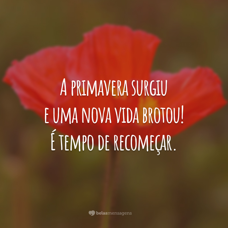 A primavera surgiu e uma nova vida brotou! É tempo de recomeçar.