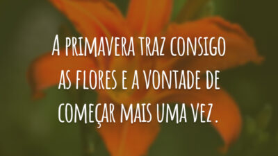 A primavera traz consigo as flores e a vontade de começar mais uma vez.