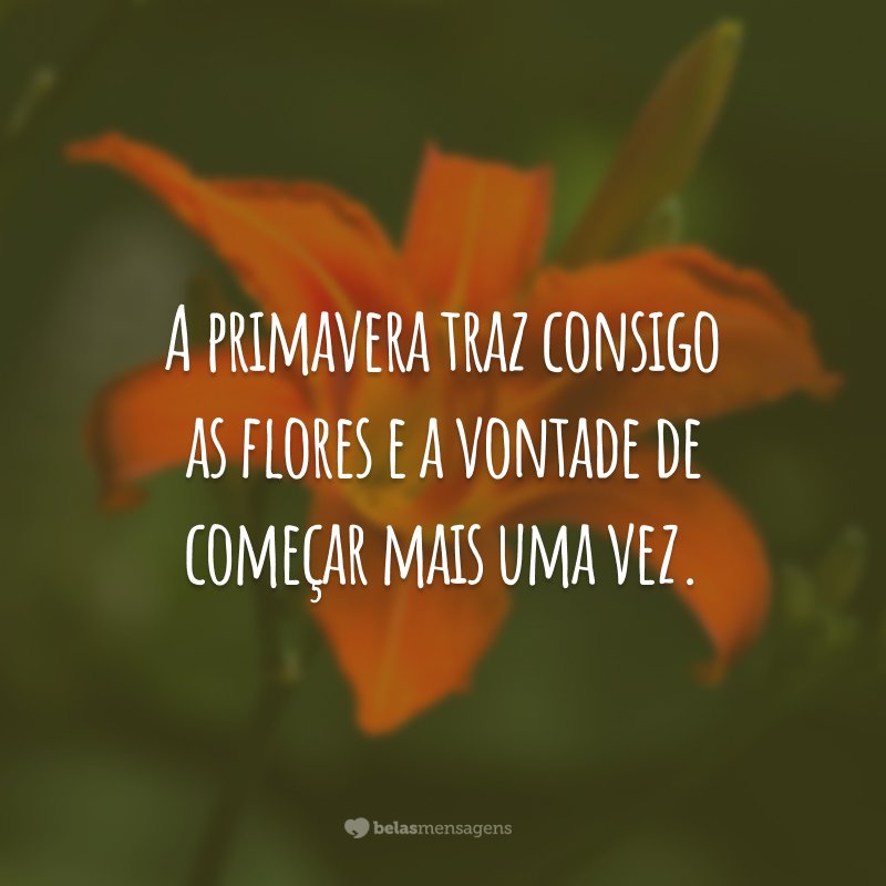 A primavera traz consigo as flores e a vontade de começar mais uma vez.