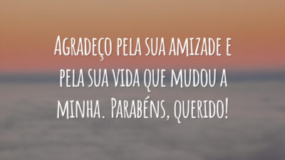 Agradeço pela sua amizade e pela sua vida que mudou a minha. Parabéns, querido!