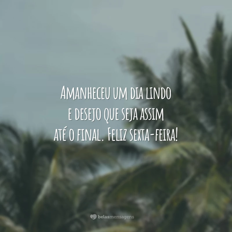 Amanheceu um dia lindo e desejo que seja assim até o final. Feliz sexta-feira!