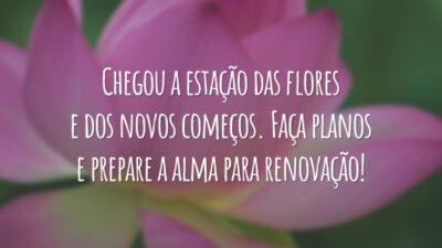 Chegou a estação das flores e dos novos começos. Faça planos e prepare a alma para renovação!