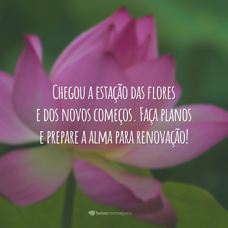 Chegou a estação das flores e dos novos começos. Faça planos e prepare a alma para renovação!