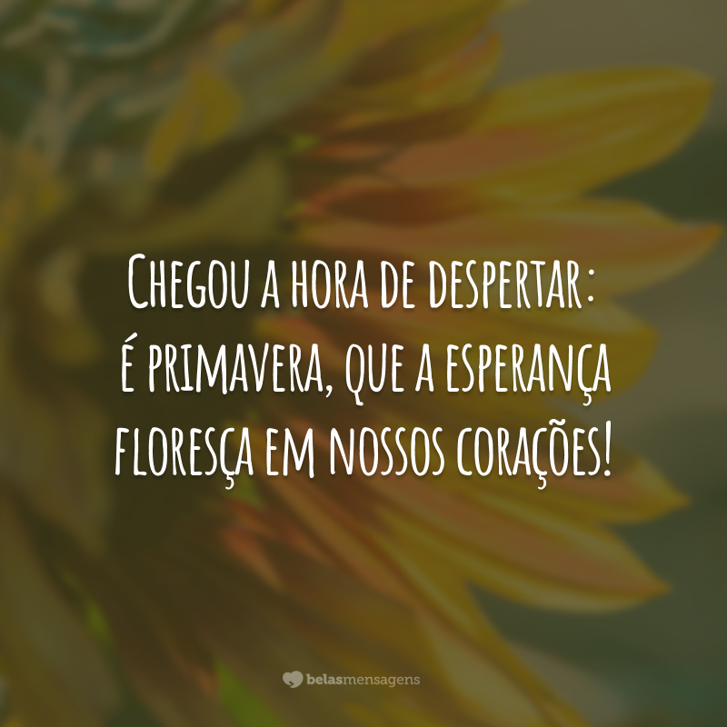 Chegou a hora de despertar: é primavera, que a esperança floresça em nossos corações!