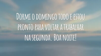 Dormi o domingo todo e estou pronto para voltar a trabalhar na segunda. Boa noite!
